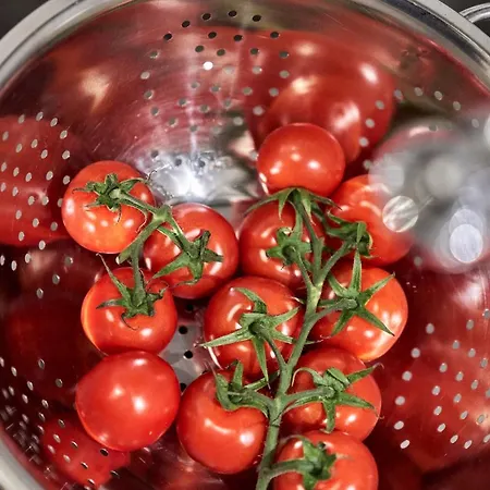 Scharhoern-riff - 16 * Cuxhaven